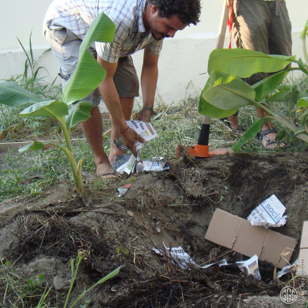 Diseño ecológico productivo Diseño ecológico productivo