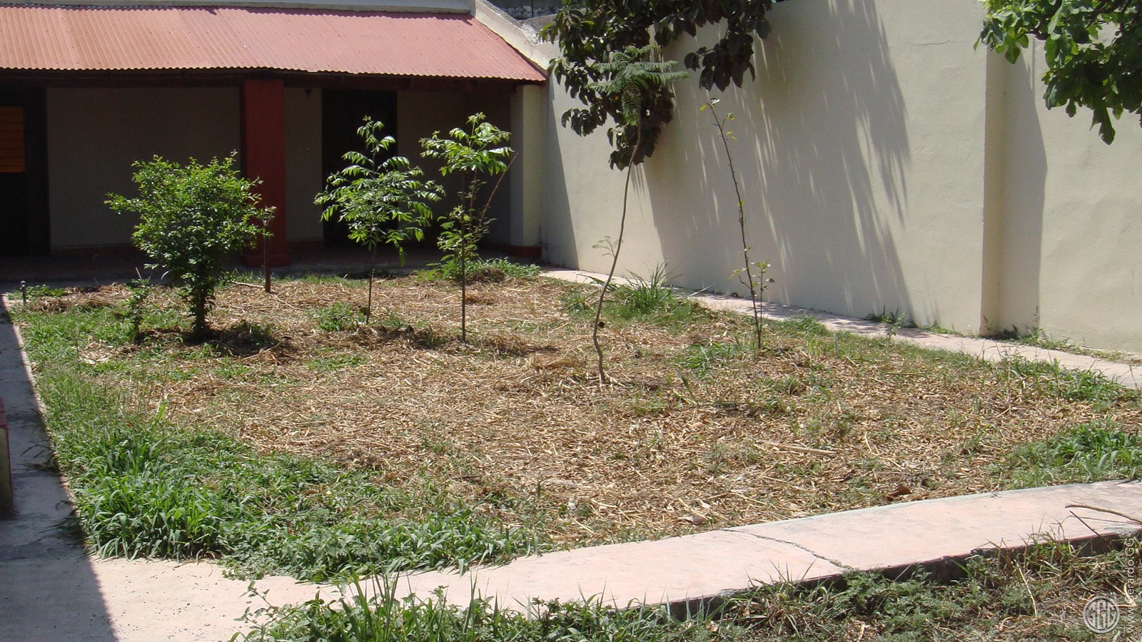 Casa Layra, bosque de alimentos creciendo Casa Layra, bosque de alimentos creciendo